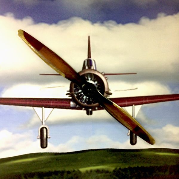 Wall Graphic - Interior